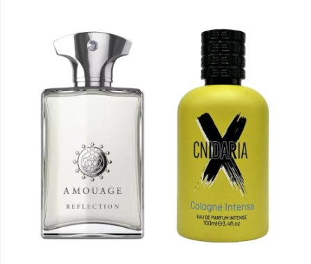cnidaria x cologne intensa