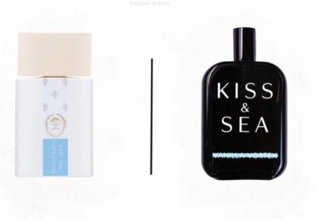 kiss&sea VanillaVortex